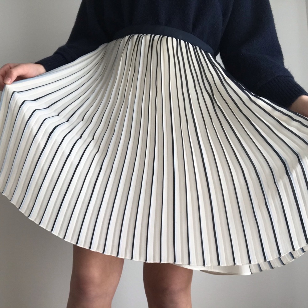 Jcrew Skirt